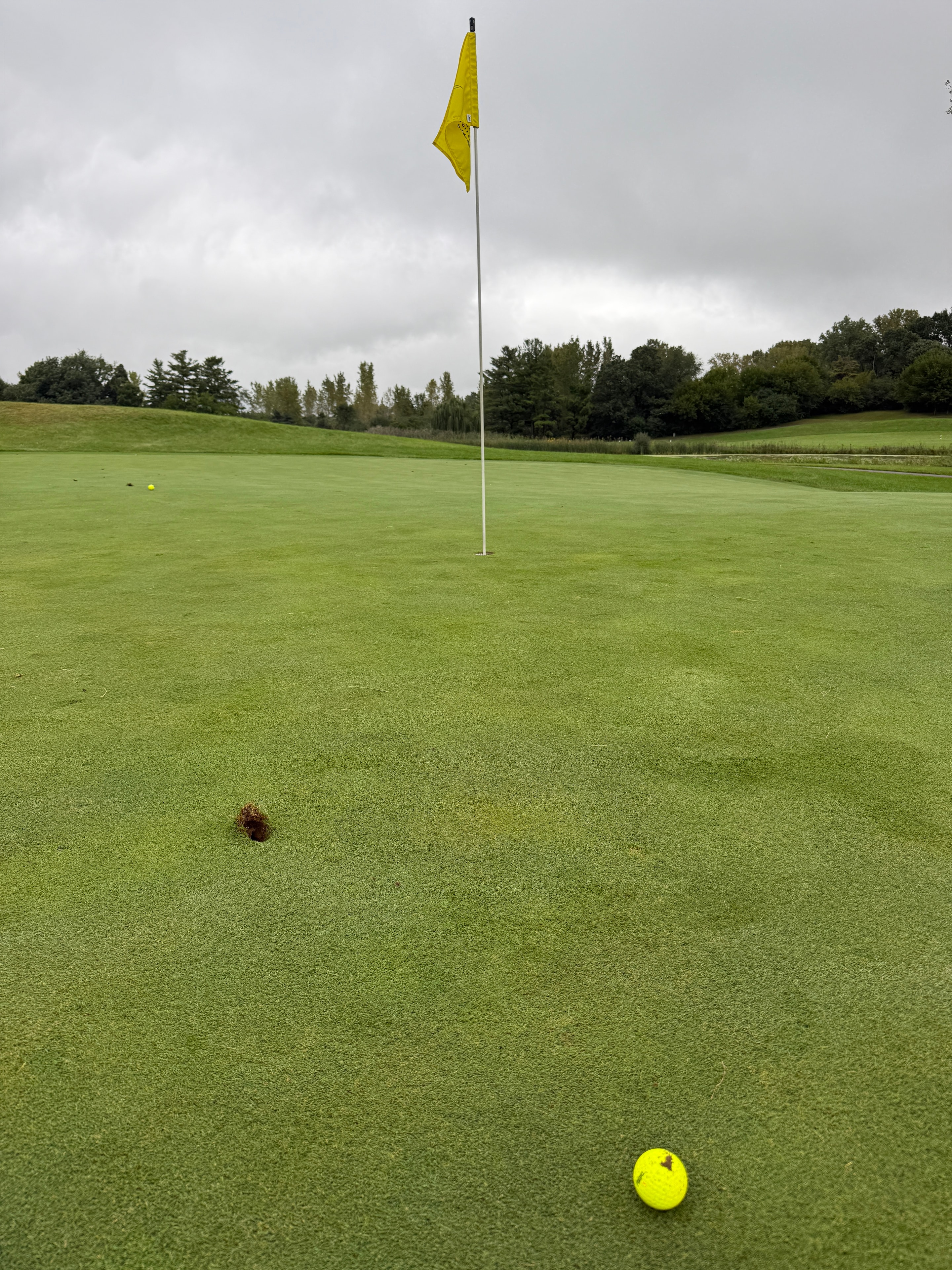 Golf ball on green with yellow flag